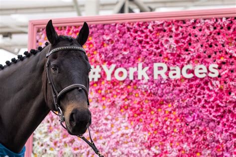 Ebor Festival Hospitality at York Racecourse .